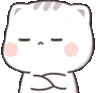 086_cat_nuhuh