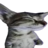 eepy Discord emoji
