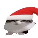 wawafestive