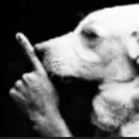 shh
