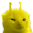 Ylorp