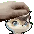momo_pet