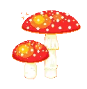 whimsi_btoadstools