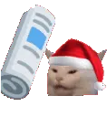 christmas_cat_bonk