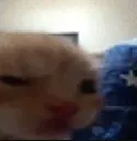 huh