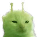 glorp