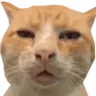 WHARt