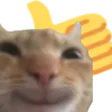 thumbsUp
