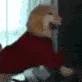 S_dawg