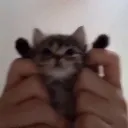 yippee
