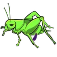 faxutyCRICKETS