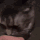 XCatTrauma