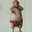bailandobubr