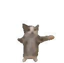 catepic