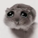 ratcry