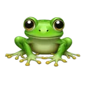 aionafrog