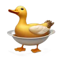cookedduckonadish