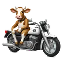 cowridingamotorcycle