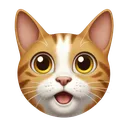 surprisedcatlookingup