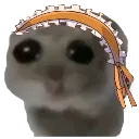 pookiee pookiee