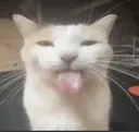 blehh