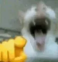 laughatem