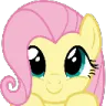 fluttershy