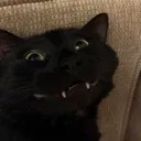 hehe hehe