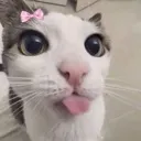 cattongue