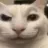 CatSmirk_YBG CatSmirk_YBG