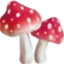 mushroomstool