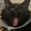 emoji_108