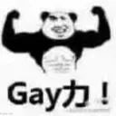 gay