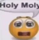 holymoly holymoly