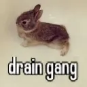 bob