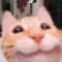 smilercat