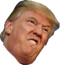 87682donaldtrumpangry