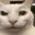 carsmirk