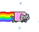rainbowcat