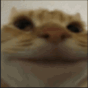 :silenceEXPLODE: