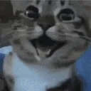 happy