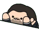 AWANMrScratch AWANMrScratch