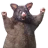 wahoorat