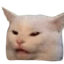 :CatOffended: