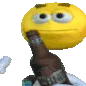 PoPivu