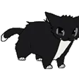 dancingmaxwell