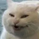 NG_Hehehe