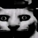 catDestare