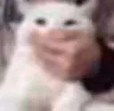 z_hmmph