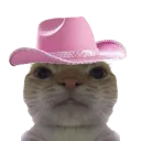 pinkponyswag